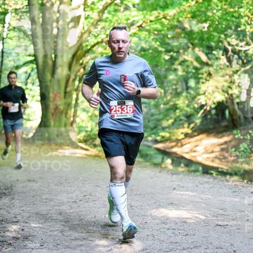 28.09.2025 - 33. Volkslauf durch das schöne Alstertal Dr. Thomas Lammeyer http://msf.ph/oto/8954482 28.09.2025 10:38:50 Laufen 2536 meine-sportfotos.de