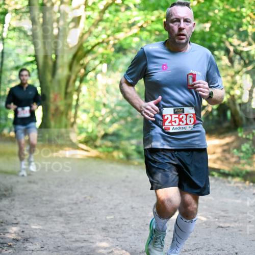 28.09.2025 - 33. Volkslauf durch das schöne Alstertal Dr. Thomas Lammeyer http://msf.ph/oto/8954488 28.09.2025 10:38:51 Laufen 2536 meine-sportfotos.de