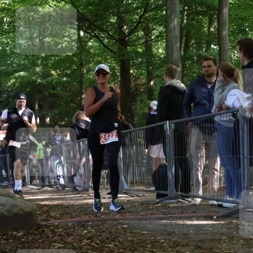 28.09.2025 - 33. Volkslauf durch das schöne Alstertal Strokosch-Dieckow http://msf.ph/oto/8954498 28.09.2025 12:42:20 Ziel 2395, 2422 meine-sportfotos.de