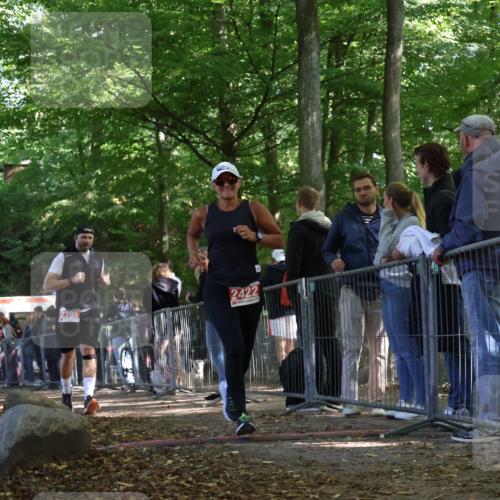 28.09.2025 - 33. Volkslauf durch das schöne Alstertal Strokosch-Dieckow http://msf.ph/oto/8954501 28.09.2025 12:42:21 Ziel 2395, 2422 meine-sportfotos.de