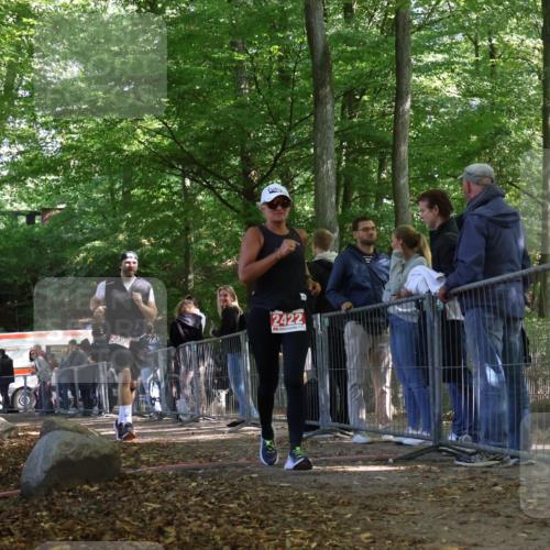28.09.2025 - 33. Volkslauf durch das schöne Alstertal Strokosch-Dieckow http://msf.ph/oto/8954504 28.09.2025 12:42:21 Ziel 2395, 2422 meine-sportfotos.de