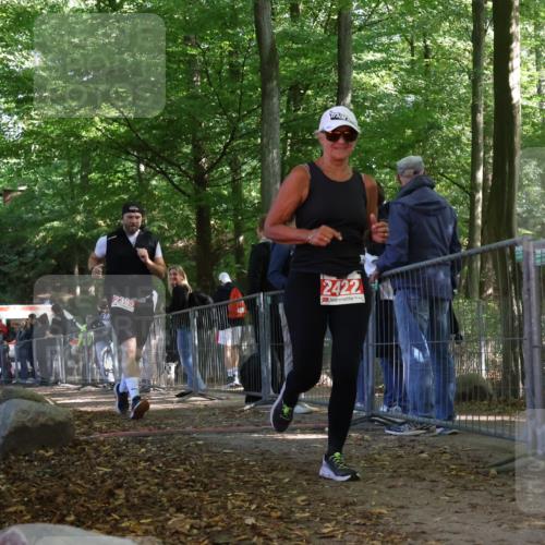 28.09.2025 - 33. Volkslauf durch das schöne Alstertal Strokosch-Dieckow http://msf.ph/oto/8954511 28.09.2025 12:42:22 Ziel 2395, 2422 meine-sportfotos.de