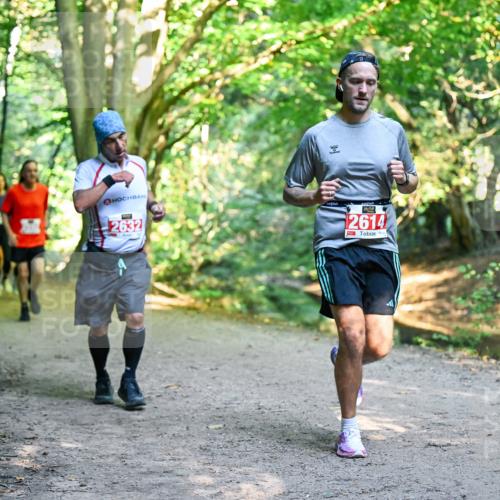 28.09.2025 - 33. Volkslauf durch das schöne Alstertal Dr. Thomas Lammeyer http://msf.ph/oto/8954518 28.09.2025 10:38:55 Laufen 2632, 2614 meine-sportfotos.de