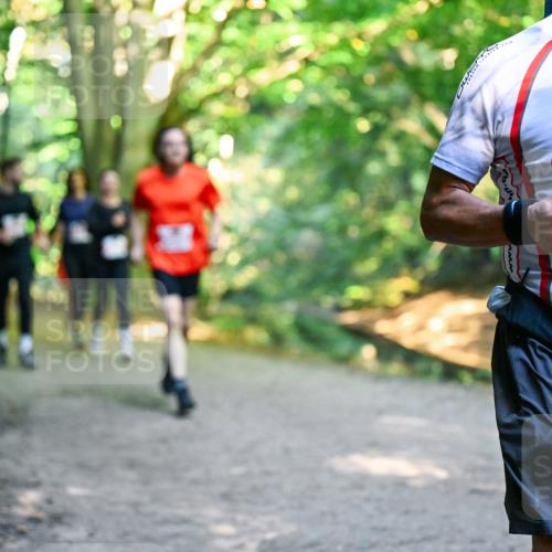 28.09.2025 - 33. Volkslauf durch das schöne Alstertal Dr. Thomas Lammeyer http://msf.ph/oto/8954535 28.09.2025 10:38:57 Laufen 2632 meine-sportfotos.de