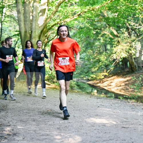 28.09.2025 - 33. Volkslauf durch das schöne Alstertal Dr. Thomas Lammeyer http://msf.ph/oto/8954538 28.09.2025 10:38:58 Laufen 2279, 2447, 2280, 2592 meine-sportfotos.de