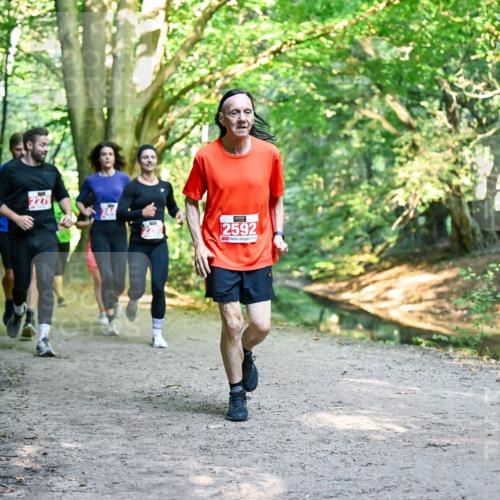 28.09.2025 - 33. Volkslauf durch das schöne Alstertal Dr. Thomas Lammeyer http://msf.ph/oto/8954539 28.09.2025 10:38:58 Laufen 2279, 2592 meine-sportfotos.de