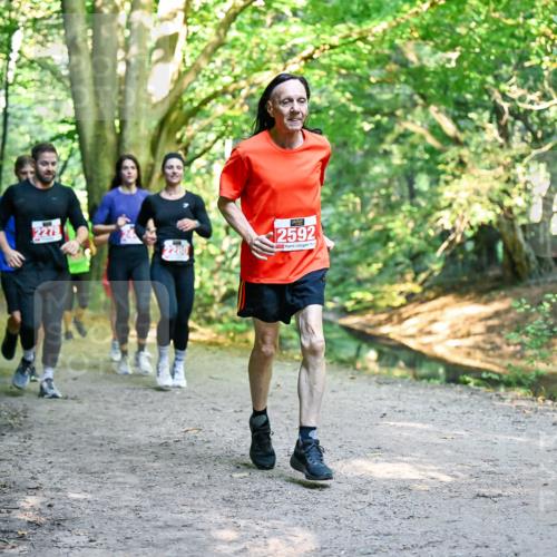 28.09.2025 - 33. Volkslauf durch das schöne Alstertal Dr. Thomas Lammeyer http://msf.ph/oto/8954540 28.09.2025 10:38:58 Laufen 2279, 2592 meine-sportfotos.de