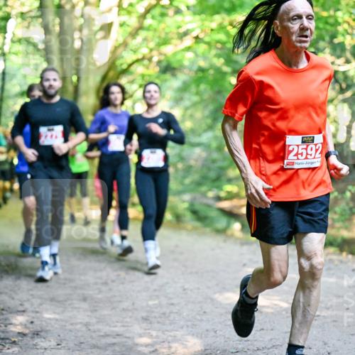 28.09.2025 - 33. Volkslauf durch das schöne Alstertal Dr. Thomas Lammeyer http://msf.ph/oto/8954547 28.09.2025 10:38:59 Laufen 2592 meine-sportfotos.de