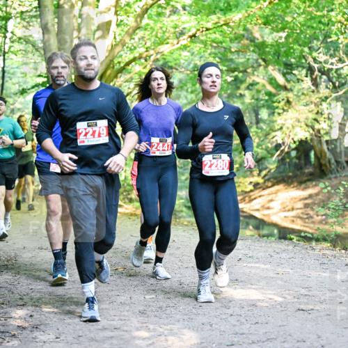 28.09.2025 - 33. Volkslauf durch das schöne Alstertal Dr. Thomas Lammeyer http://msf.ph/oto/8954551 28.09.2025 10:38:59 Laufen 2279, 2447, 2280 meine-sportfotos.de