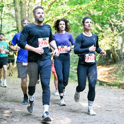 28.09.2025 - 33. Volkslauf durch das schöne Alstertal Dr. Thomas Lammeyer http://msf.ph/oto/8954554 28.09.2025 10:39:00 Laufen 2279, 2447, 2280 meine-sportfotos.de