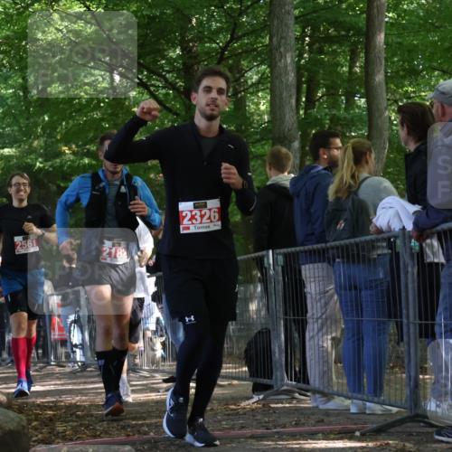 28.09.2025 - 33. Volkslauf durch das schöne Alstertal Strokosch-Dieckow http://msf.ph/oto/8954556 28.09.2025 12:42:48 Ziel 2182, 2561, 2562 meine-sportfotos.de