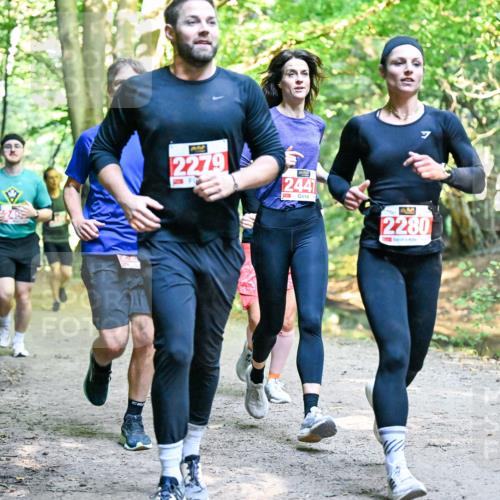 28.09.2025 - 33. Volkslauf durch das schöne Alstertal Dr. Thomas Lammeyer http://msf.ph/oto/8954557 28.09.2025 10:39:00 Laufen 2279, 2441, 2280 meine-sportfotos.de