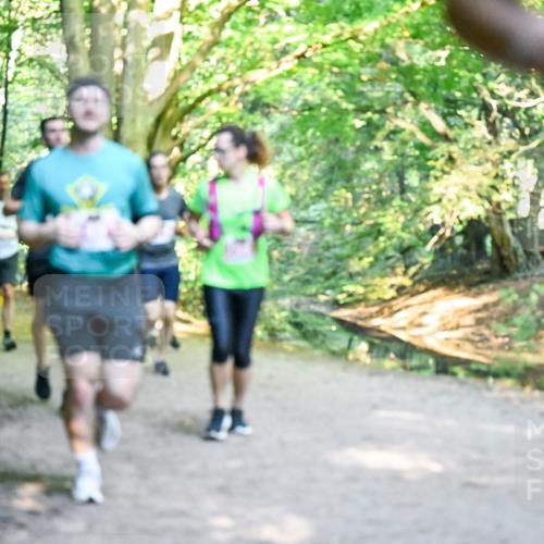 28.09.2025 - 33. Volkslauf durch das schöne Alstertal Dr. Thomas Lammeyer http://msf.ph/oto/8954568 28.09.2025 10:39:02 Laufen  meine-sportfotos.de