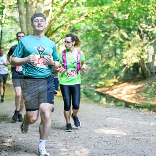 28.09.2025 - 33. Volkslauf durch das schöne Alstertal Dr. Thomas Lammeyer http://msf.ph/oto/8954570 28.09.2025 10:39:02 Laufen 249, 2542 meine-sportfotos.de