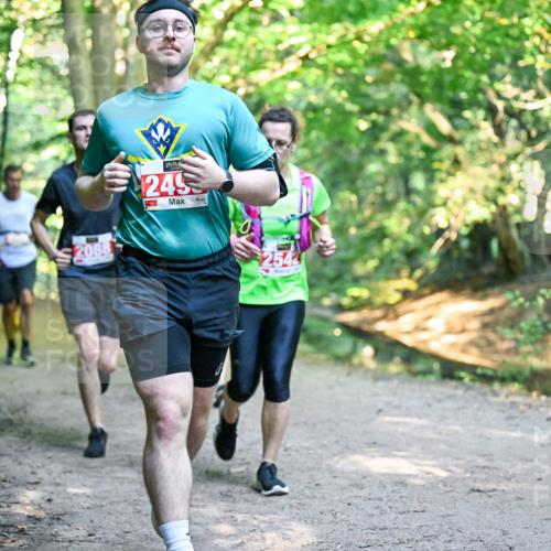 28.09.2025 - 33. Volkslauf durch das schöne Alstertal Dr. Thomas Lammeyer http://msf.ph/oto/8954572 28.09.2025 10:39:02 Laufen 2088, 249, 2542 meine-sportfotos.de