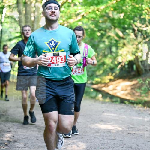 28.09.2025 - 33. Volkslauf durch das schöne Alstertal Dr. Thomas Lammeyer http://msf.ph/oto/8954573 28.09.2025 10:39:02 Laufen 2493, 2542 meine-sportfotos.de