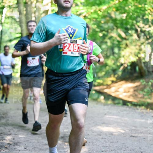 28.09.2025 - 33. Volkslauf durch das schöne Alstertal Dr. Thomas Lammeyer http://msf.ph/oto/8954574 28.09.2025 10:39:02 Laufen 208, 4249 meine-sportfotos.de