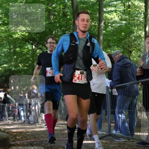 28.09.2025 - 33. Volkslauf durch das schöne Alstertal Strokosch-Dieckow http://msf.ph/oto/8954579 28.09.2025 12:42:51 Ziel 2182, 2561, 2562 meine-sportfotos.de