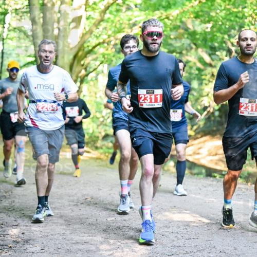 28.09.2025 - 33. Volkslauf durch das schöne Alstertal Dr. Thomas Lammeyer http://msf.ph/oto/8954581 28.09.2025 10:39:05 Laufen 2311, 680, 2313 meine-sportfotos.de