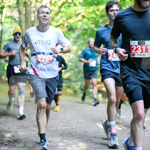 28.09.2025 - 33. Volkslauf durch das schöne Alstertal Dr. Thomas Lammeyer http://msf.ph/oto/8954587 28.09.2025 10:39:05 Laufen 2264, 24, 2311 meine-sportfotos.de