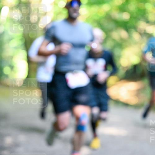 28.09.2025 - 33. Volkslauf durch das schöne Alstertal Dr. Thomas Lammeyer http://msf.ph/oto/8954594 28.09.2025 10:39:07 Laufen  meine-sportfotos.de