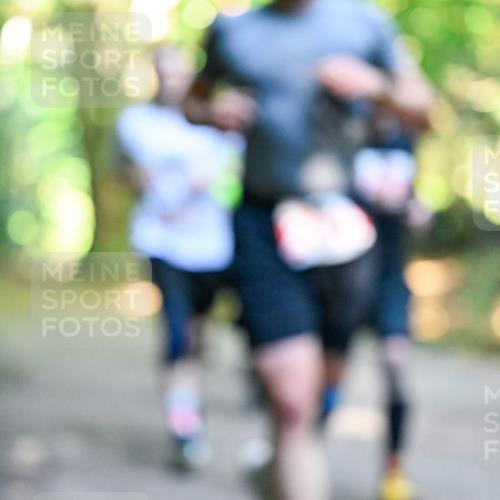28.09.2025 - 33. Volkslauf durch das schöne Alstertal Dr. Thomas Lammeyer http://msf.ph/oto/8954596 28.09.2025 10:39:07 Laufen  meine-sportfotos.de