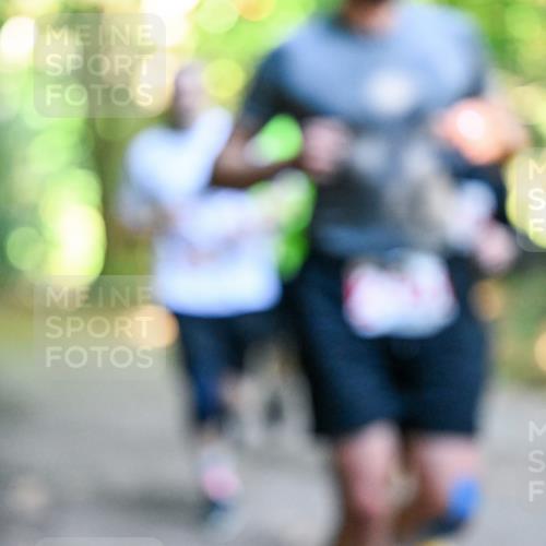 28.09.2025 - 33. Volkslauf durch das schöne Alstertal Dr. Thomas Lammeyer http://msf.ph/oto/8954597 28.09.2025 10:39:07 Laufen  meine-sportfotos.de