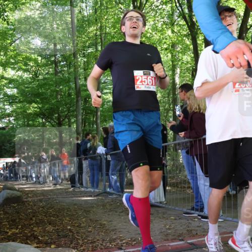 28.09.2025 - 33. Volkslauf durch das schöne Alstertal Strokosch-Dieckow http://msf.ph/oto/8954605 28.09.2025 12:42:52 Ziel  meine-sportfotos.de
