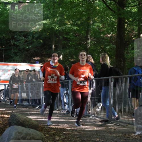 28.09.2025 - 33. Volkslauf durch das schöne Alstertal Strokosch-Dieckow http://msf.ph/oto/8954612 28.09.2025 12:43:12 Ziel 1037, 2257, 2275 meine-sportfotos.de