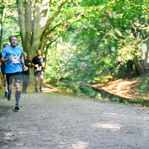 28.09.2025 - 33. Volkslauf durch das schöne Alstertal Dr. Thomas Lammeyer http://msf.ph/oto/8954619 28.09.2025 10:39:17 Laufen  meine-sportfotos.de