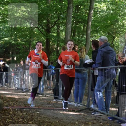 28.09.2025 - 33. Volkslauf durch das schöne Alstertal Strokosch-Dieckow http://msf.ph/oto/8954625 28.09.2025 12:43:14 Ziel 1037, 2257, 2275 meine-sportfotos.de