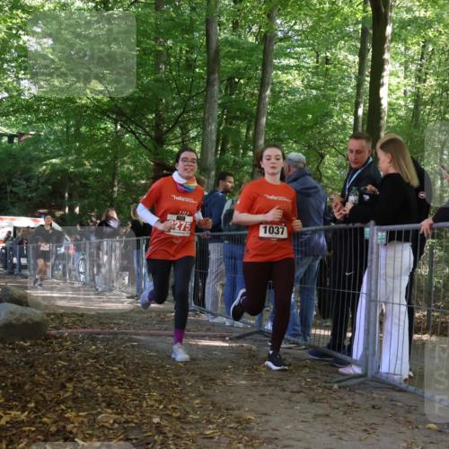28.09.2025 - 33. Volkslauf durch das schöne Alstertal Strokosch-Dieckow http://msf.ph/oto/8954633 28.09.2025 12:43:14 Ziel 1037, 2257, 2275 meine-sportfotos.de