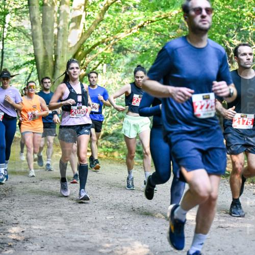 28.09.2025 - 33. Volkslauf durch das schöne Alstertal Dr. Thomas Lammeyer http://msf.ph/oto/8954636 28.09.2025 10:39:21 Laufen 2090, 2, 23, 225, 2175 meine-sportfotos.de