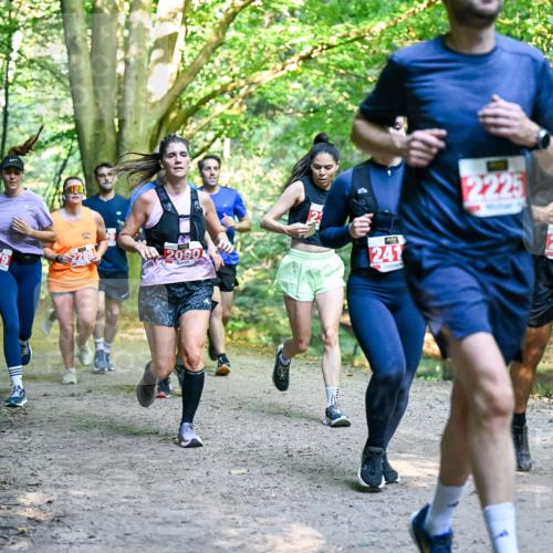 28.09.2025 - 33. Volkslauf durch das schöne Alstertal Dr. Thomas Lammeyer http://msf.ph/oto/8954637 28.09.2025 10:39:21 Laufen 379, 2090, 241, 2225, 2175 meine-sportfotos.de