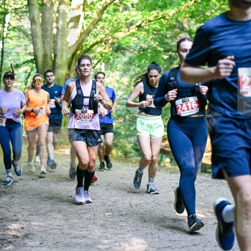 28.09.2025 - 33. Volkslauf durch das schöne Alstertal Dr. Thomas Lammeyer http://msf.ph/oto/8954638 28.09.2025 10:39:21 Laufen 379, 2090, 2416, 1, 71, 2225, 75 meine-sportfotos.de