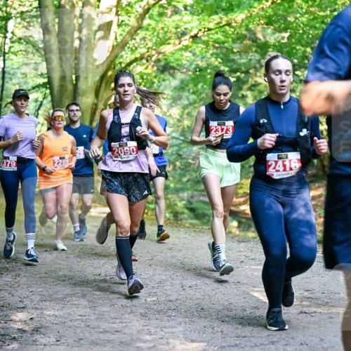 28.09.2025 - 33. Volkslauf durch das schöne Alstertal Dr. Thomas Lammeyer http://msf.ph/oto/8954639 28.09.2025 10:39:21 Laufen 2379, 20, 22897, 2090, 2373, 2416 meine-sportfotos.de