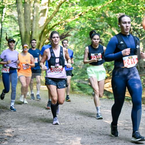 28.09.2025 - 33. Volkslauf durch das schöne Alstertal Dr. Thomas Lammeyer http://msf.ph/oto/8954640 28.09.2025 10:39:21 Laufen 2379, 2090, 2372, 2416 meine-sportfotos.de