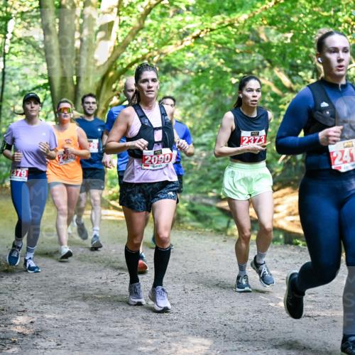 28.09.2025 - 33. Volkslauf durch das schöne Alstertal Dr. Thomas Lammeyer http://msf.ph/oto/8954641 28.09.2025 10:39:22 Laufen 2379, 2090, 2373, 2416 meine-sportfotos.de