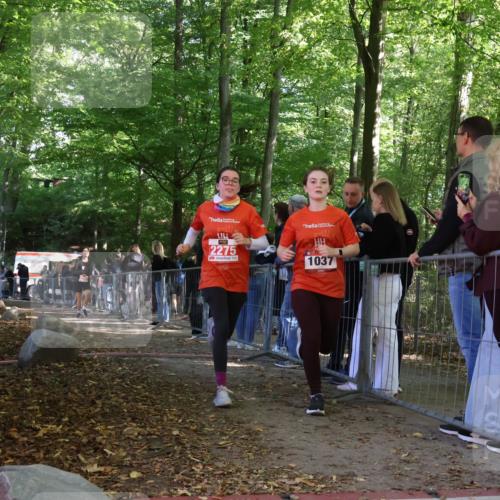 28.09.2025 - 33. Volkslauf durch das schöne Alstertal Strokosch-Dieckow http://msf.ph/oto/8954642 28.09.2025 12:43:15 Ziel 1037, 2257, 2275 meine-sportfotos.de