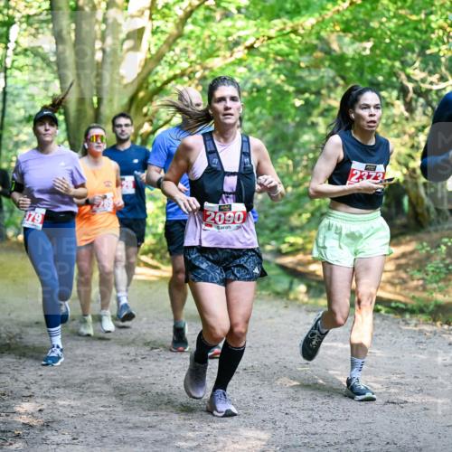 28.09.2025 - 33. Volkslauf durch das schöne Alstertal Dr. Thomas Lammeyer http://msf.ph/oto/8954644 28.09.2025 10:39:22 Laufen 379, 2090, 2373, 2416 meine-sportfotos.de