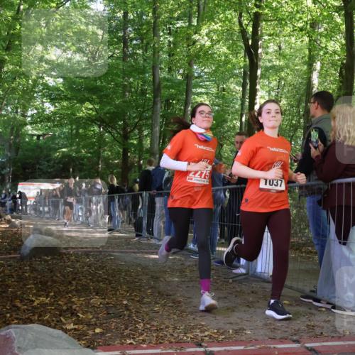 28.09.2025 - 33. Volkslauf durch das schöne Alstertal Strokosch-Dieckow http://msf.ph/oto/8954648 28.09.2025 12:43:15 Ziel 1037, 2257, 2275 meine-sportfotos.de