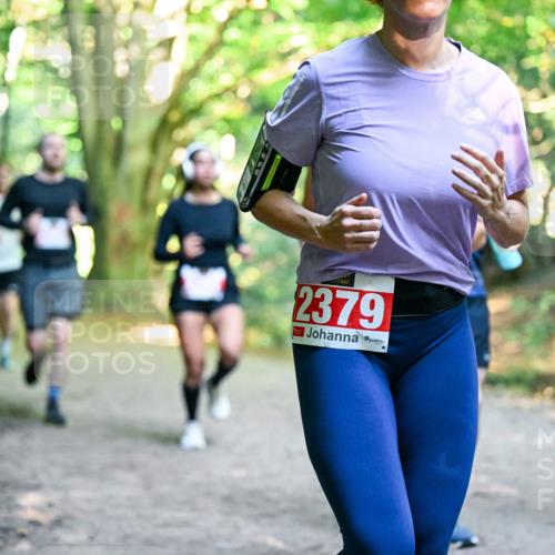28.09.2025 - 33. Volkslauf durch das schöne Alstertal Dr. Thomas Lammeyer http://msf.ph/oto/8954658 28.09.2025 10:39:24 Laufen 2379 meine-sportfotos.de