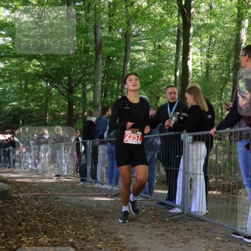 28.09.2025 - 33. Volkslauf durch das schöne Alstertal Strokosch-Dieckow http://msf.ph/oto/8954690 28.09.2025 12:43:18 Ziel 2257 meine-sportfotos.de