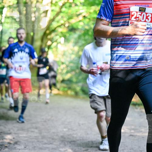 28.09.2025 - 33. Volkslauf durch das schöne Alstertal Dr. Thomas Lammeyer http://msf.ph/oto/8954695 28.09.2025 10:39:30 Laufen 12503 meine-sportfotos.de