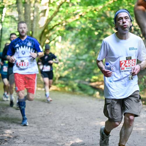 28.09.2025 - 33. Volkslauf durch das schöne Alstertal Dr. Thomas Lammeyer http://msf.ph/oto/8954697 28.09.2025 10:39:30 Laufen 2119, 2486 meine-sportfotos.de