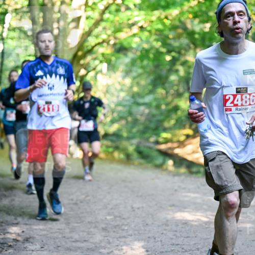 28.09.2025 - 33. Volkslauf durch das schöne Alstertal Dr. Thomas Lammeyer http://msf.ph/oto/8954698 28.09.2025 10:39:30 Laufen 2119, 2486 meine-sportfotos.de