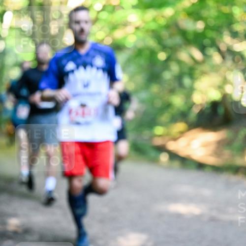 28.09.2025 - 33. Volkslauf durch das schöne Alstertal Dr. Thomas Lammeyer http://msf.ph/oto/8954704 28.09.2025 10:39:31 Laufen  meine-sportfotos.de