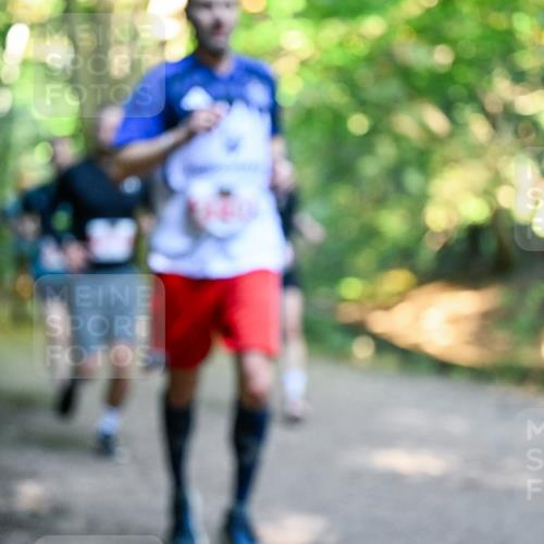 28.09.2025 - 33. Volkslauf durch das schöne Alstertal Dr. Thomas Lammeyer http://msf.ph/oto/8954705 28.09.2025 10:39:31 Laufen  meine-sportfotos.de