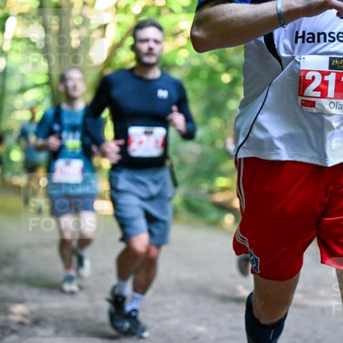 28.09.2025 - 33. Volkslauf durch das schöne Alstertal Dr. Thomas Lammeyer http://msf.ph/oto/8954709 28.09.2025 10:39:32 Laufen 2119 meine-sportfotos.de