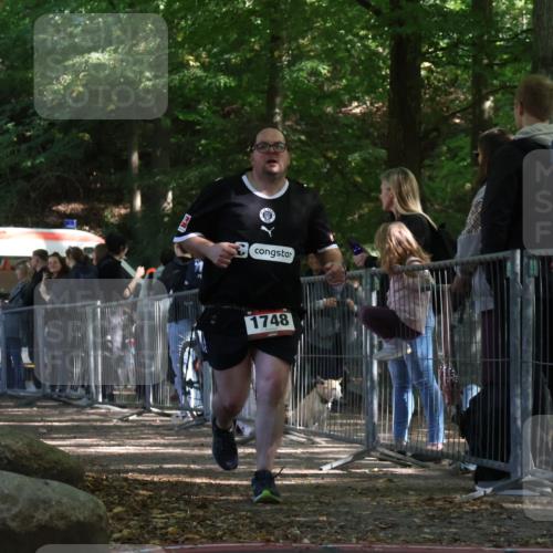 28.09.2025 - 33. Volkslauf durch das schöne Alstertal Strokosch-Dieckow http://msf.ph/oto/8954710 28.09.2025 12:43:30 Ziel 1748 meine-sportfotos.de